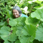 Kräuterwanderung mit der Kräuterpädagogin Klaudia Landahl