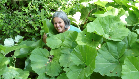 Kräuterwanderung mit der Kräuterpädagogin Klaudia Landahl