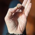 Einblicke in die Welt der Mudras mit Pia Utzig und Ingeburg Barbian